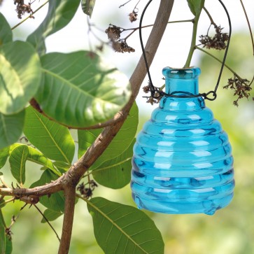 Capcana pentru viespi , asticla, 9xH13 cm, albastru