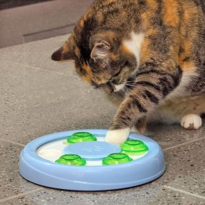 Jucarie interactiva pisici si catei-Wenko